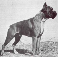 /album/%cf%80%ce%b7%ce%b3%ce%ae-%3a-boxernews-forumcommunity-net/%ce%b1%ce%bd%cf%84%ce%af%ce%b3%cf%81%ce%b1%cf%86%ce%bf-%ce%b1%cf%80%cf%8c-118gbbk-jpg/